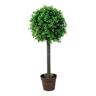 Buchsbaum im Topf Kunststoff Größe:60x25cm Farbe: grün    #