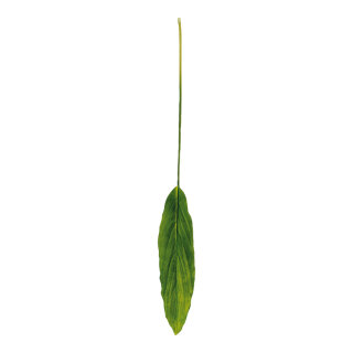 Dracaenablatt mit Regentropfen, Kunstseide, am Stiel Größe:13cm breit, 100cm Farbe: grün    #