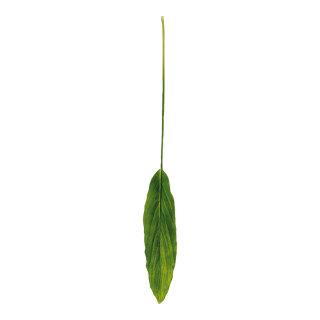 Dracaena leaf with raindrops, artificial silk, on stem     Size: width 13cm, 100cm    Color: green