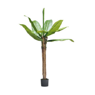 Banana tree 10 leaves made of artificial silk, in pot, stem made of natural fibre     Size: 180cm    Color: brown/green