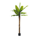 Bananenbaum 12 Blätter aus Kunstseide, im Topf, Stamm aus Naturfaser     Groesse: 240cm    Farbe: braun/grün     #