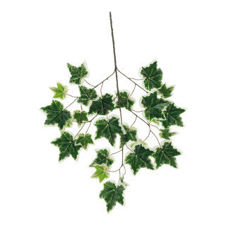 Efeuzweig mit 25 Blättern, Kunstseide Größe:70x40cm Farbe: grün/weiß    #