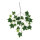 Efeuzweig mit 25 Blättern, Kunstseide     Groesse: 70x40cm - Farbe: grün/weiß