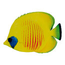 Tropical fish printed double-sided, wood, with hanger...