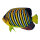 Tropical fish printed double-sided, wood, with hanger     Size: 50x30cm    Color: yellow/black