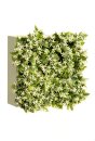 Blumenbox FLOR SILV.BLANCA 20x20x12cm.