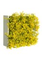 Blumenbox GIPSO AMARILLO für Innen und Außen,...