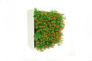 Blumenbox NERTERA NARANJA 20x20x11cm