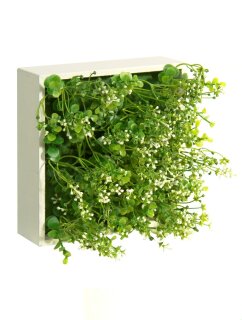 Blumenbox EUCAL.C/FL.CREMA 20x20x12cm.