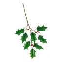 Holly twig  - Material: with berries - Color: green/red -...