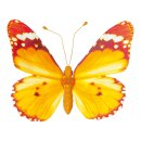 Butterfly with clip wings out of paper, body out of...