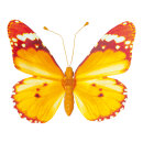 Butterfly with clip wings out of paper, body out of...