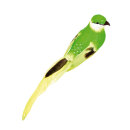 Vogel mit Clip Styrofoam mit Federn Größe:40x7x7cm Farbe:...