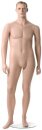 Mannequin XXL männlich diverse Möglichkeiten (alte Art.Nr. 110 1200 5XXX 1104)
