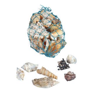 Shells 300g/bag - Material: natural material - Color: natural-coloured - Size:  X 6cm