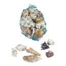 Muscheln 300gr./Btl., Naturmaterial     Groesse: 6cm -...