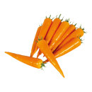 Carrots 12pcs./bag, plastic Ø 4cm, 20cm Color: orange/green
