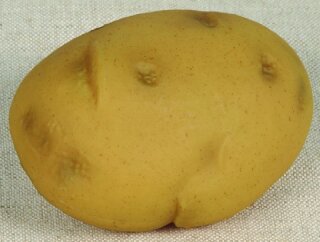 Kartoffel Kunststoff Größe:7x10cm Farbe: braun    #