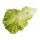 Salatblätter 3Stck./Btl., Kunststoff     Groesse: 16x25cm - Farbe: hellgrün #