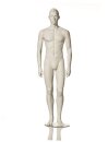 stilisierte Herrenfigur Noah