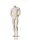 kopflose Herrenfigur, Farbe: Ivory