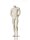 kopflose Herrenfigur, Farbe: Ivory