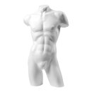 Male torso Antique  - Material: styropor - Color: white -...