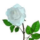 Rose artificial silk     Size: 60cm    Color: white