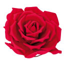 Rose head 50cm stem, foam plastic     Size: Ø 40cm...