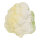 Blumenkohl Kunststoff     Groesse: 12x13cm    Farbe: weiß/grün     #