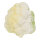 Cauliflower plastic     Size: 12x13cm    Color: white/green