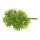 pick of parsley 12-fold - Material: plastic - Color: green - Size: 22x5cm