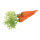 Carrots 3pcs./bag, plastic     Size: 4x30cm    Color: orange/green