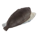 Plaice plastic     Size: 27x12cm    Color: grey