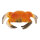 Krabbe Kunststoff     Groesse: 20x13cm    Farbe: orange/schwarz