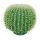 Barrel cactus plastic     Size: Ø 30cm    Color: green