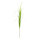Schilfgras Kunststoff     Groesse: 150cm    Farbe: grün