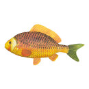 Tropical fish styrofoam printed     Size: 30x16cm...