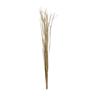Bunch of grass paper     Size: 170cm    Color: natural-coloured