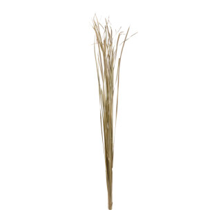 Bunch of grass paper     Size: 170cm    Color: natural-coloured