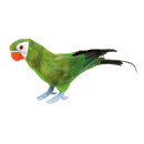 Parrot, standing styrofoam with feathers 36x13cm Color:...
