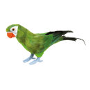 Parrot, standing styrofoam with feathers     Size:...