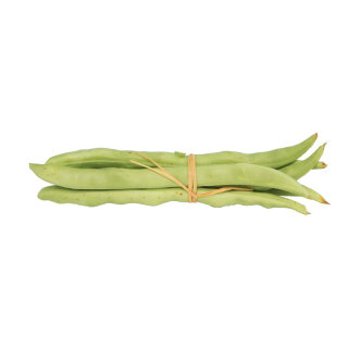 Green beans 6pcs./bag, rubber     Size: 20cm    Color: green