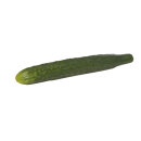 Schlangengurke Gummi Größe:30cm Farbe: grün    #
