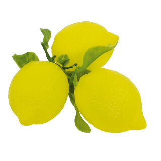 Lemons with leaf 3pcs./bag, plastic     Size: Ø 8cm    Color: yellow