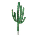 Cactus 6-fold - Material: plastic - Color: natural -...